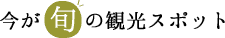 今が旬の観光スポット