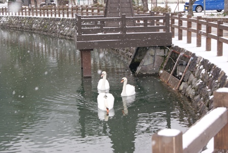 DSC04504.JPG
