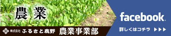 株式会社ふるさと鹿野　農業事業部
